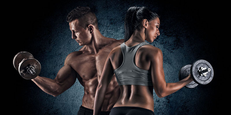 Activité Musculation